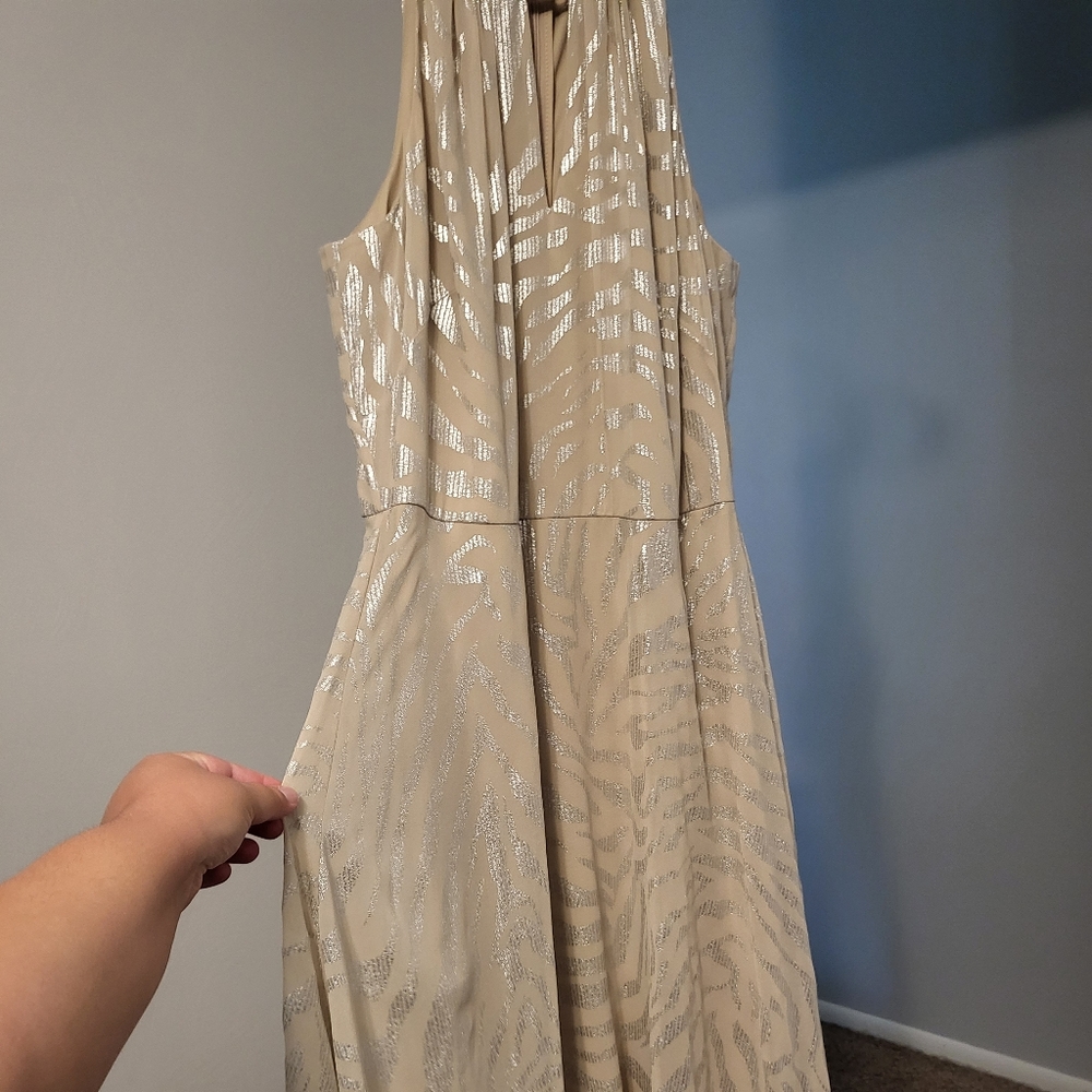 White House Black Market dress Size 12 champagne/zebra stripe